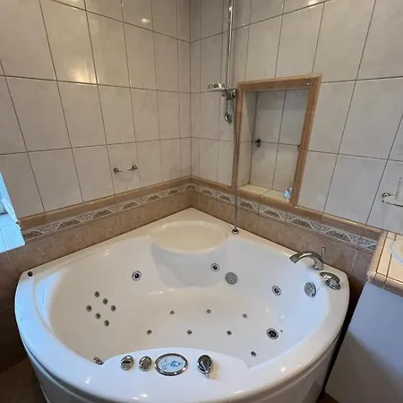 Apartment Hansa