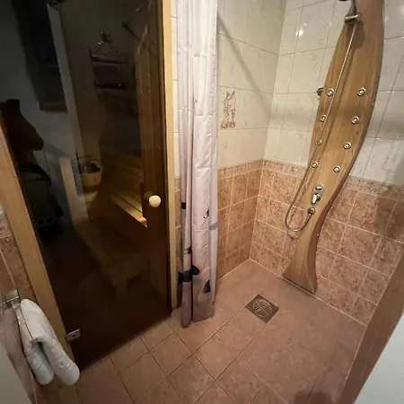 Apartment Hansa *
